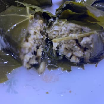 Yurt Konserve Dolma Konservesi Taş Gibi