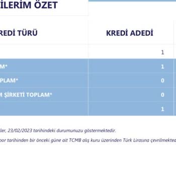 Findeks Risk Raporu İle E Devlet ® Risk Raporu Bir Birinden Farklı