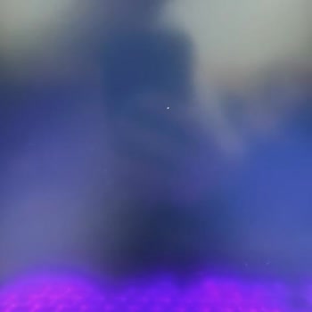 Monster Notebook Ölü Piksel Tamirini Yapmıyor Mağdurum