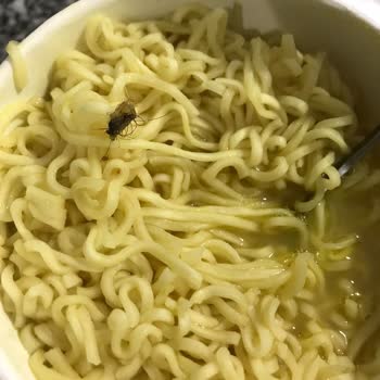 Nudo Noodle İçinden Böcek Çıktı
