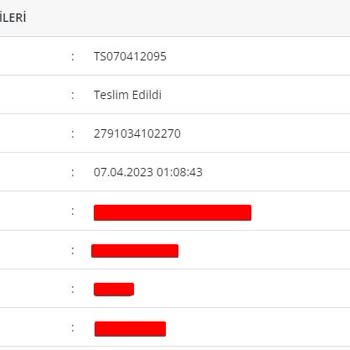 Deselans Kargoya Vermede Gecikme