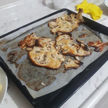 Beko Bsuf 5000 Fırın Pişirmiyor