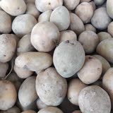 Tarım Kredi Kooperatif Market Yeşillenmiş Patates Soğan Satıyor
