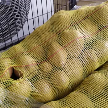 Tarım Kredi Kooperatif Market Yeşillenmiş Patates Soğan Satıyor