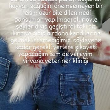 Nirvana Veteriner Kliniği Köpeğimizin Tırnak Kesiminde Aşırı Kanama