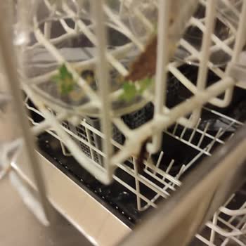 Arçelik Bulaşık Makinesinin Sepeti Çürüdü