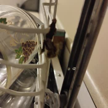 Arçelik Bulaşık Makinesinin Sepeti Çürüdü