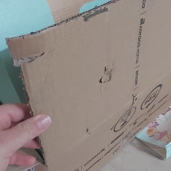 MNG Kargo Kuryenin Saygısızlığı Ve Yamuk Kek Kalıbı