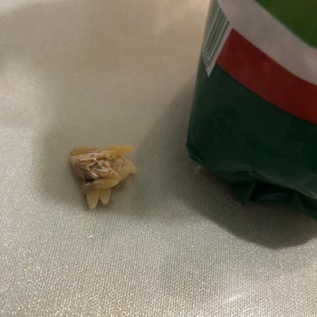 Pastavilla Arpa Şehriye Küflenmiş