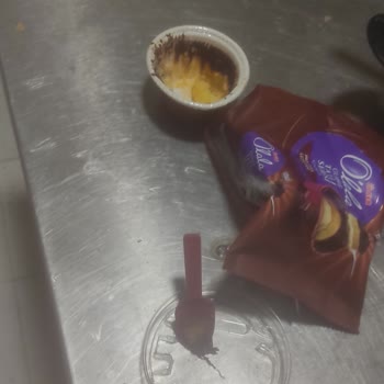 Ülker Ürünümün İçinden Bilmediğim Bir Cismin Çıkması