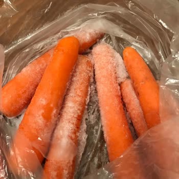 My New Electrolux Dishwasher and Refrigerator Not Working Properly