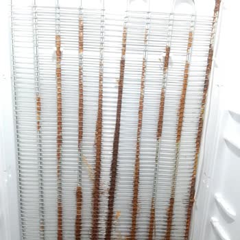 Beko Buzdolabı İçinin Çürümesi