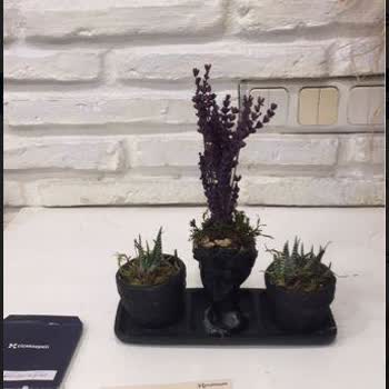 ÇiçekSepeti Hediye Çiçek Görselden Farklı Gitti