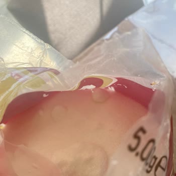 Belli Gıda Toz Şeker Kurtlandı