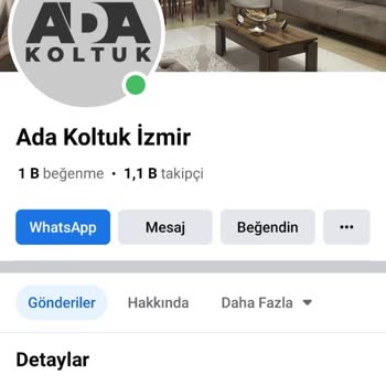 Ada Koltuk (izmir) Koltuk Takımı Ve Giderilmeyen Sorun