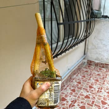 Fidandiyarim.com Fidan Bilgisi Başka Fotoğraf Başka Boyut Başka. Aldanmayınız