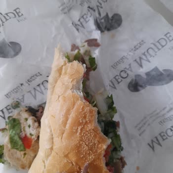 Mega Müjde Restaurant Yiyecekten Saç Çıkması