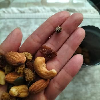 File Market Kuruyemiş Paketinden Çıkan Kuru Diken