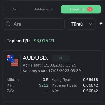 Hedef Capital Tüm Bakiyemi Liq Etti