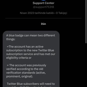 Twitter Blue Aboneliği Sorunu