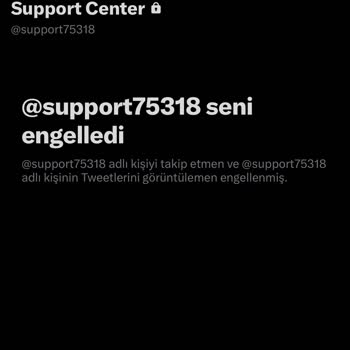 Twitter Blue Aboneliği Sorunu