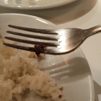 ıkea yemek bölümü çok kötü