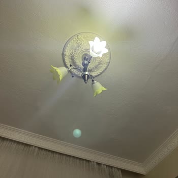 iPhone Kamera Sorunu :/