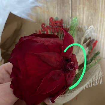 Tulipa Çiçekçilik Gerçek Solmayan Gül Diye Satıldı Yapay Çıktı