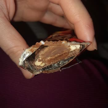 Bozuk Ve Hatalı Eti Canga