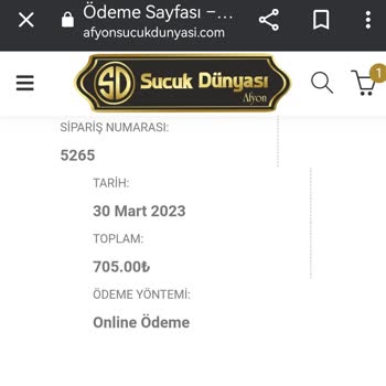 Afyonsucukdunyasi.com Cevap Vermiyor