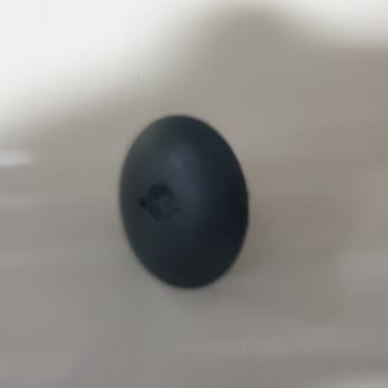 Dacia Memnuniyetsizliği