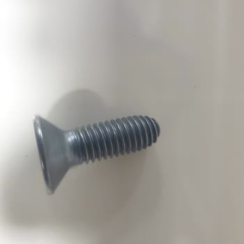 Dacia Memnuniyetsizliği