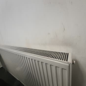 Renault'a Hiç Mi Hiç Yakışmıyor