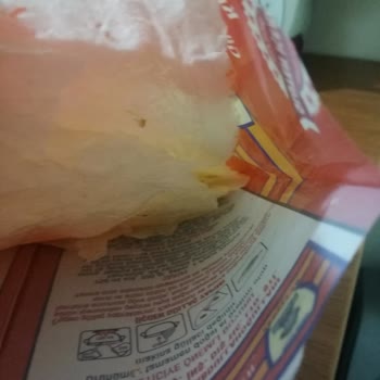 Saffet Abdullah Güllaç Paketindeki Böcek