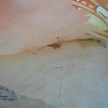 Saffet Abdullah Güllaç Paketindeki Böcek