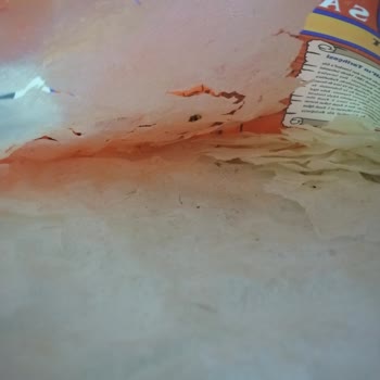 Saffet Abdullah Güllaç Paketindeki Böcek