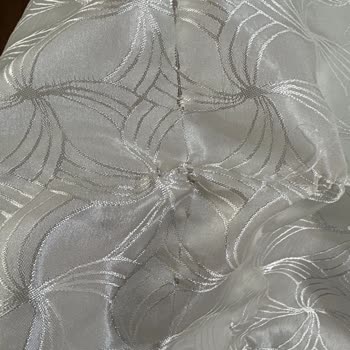 Regal Cmı 101202 İplikli Çamaşırlara Takılıyor