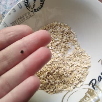 BİM Yulafların İçinde Taş Var