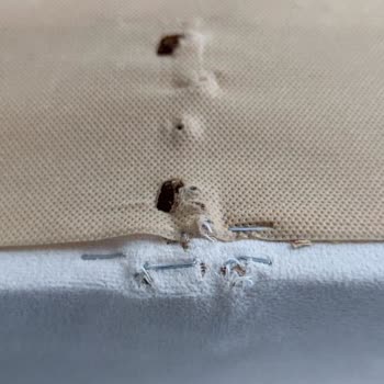 Kelebek Mobilya Welmont Koltuk Mağduriyeti