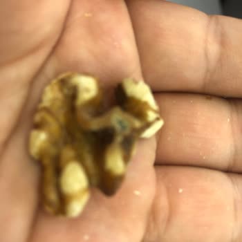 Amigo Ürünün Kalitesinin Kötü Oluşu