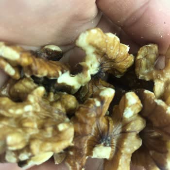 Amigo Ürünün Kalitesinin Kötü Oluşu