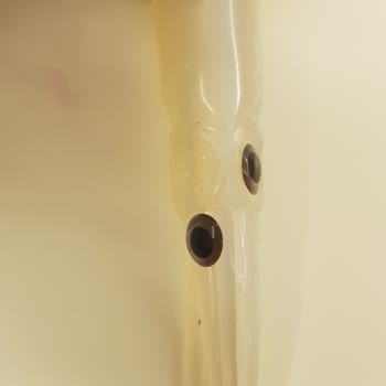 Jlc Lures Silikon Kalamar Balık Av Malzemesi