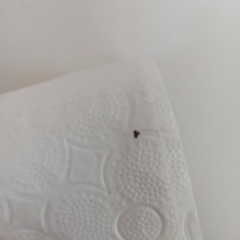 Hot Wheels Parçanın Yanlış Yapılması