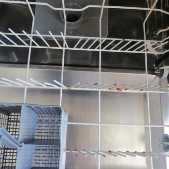 Arçelik Paslı Bulaşık Sepeti