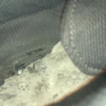 Slazenger Malzeme Kalitesi Ve Müşteri Memnuniyetsizliği!