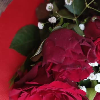 Çiçek Sepeti Güller Eksik Ve Solmuş Geldi!