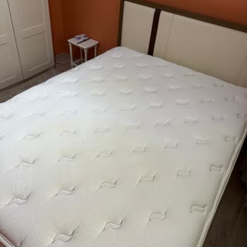 Bellona Yatak Sararma Sorunu