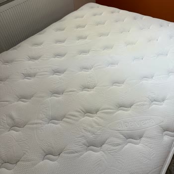 Bellona Yatak Sararma Sorunu