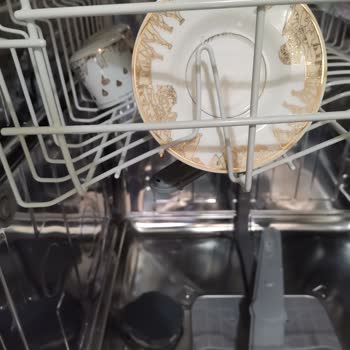 Arçelik Bulaşık Makinesi 6233 Küflenme