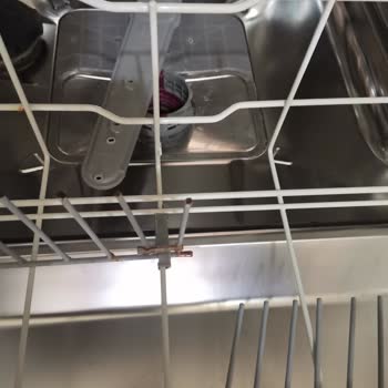 Arçelik Bulaşık Makinesi 6233 Küflenme